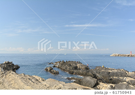 神奈川・城ヶ島 神奈川・城ヶ島 61750943