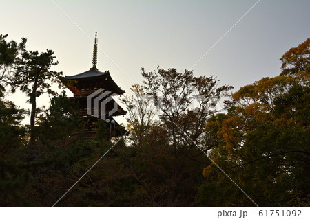 横浜・三渓園 61751092