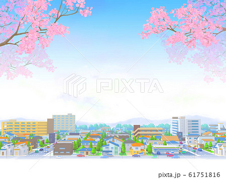 街　桜　住宅街　都市　青空　風景 61751816