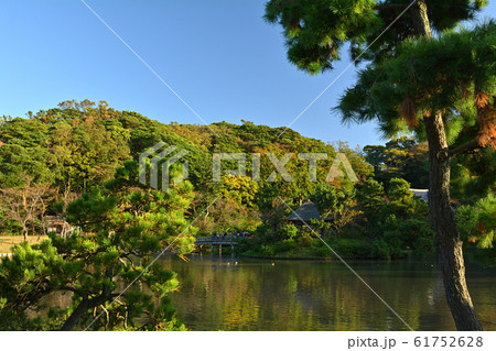 横浜・三渓園 61752628
