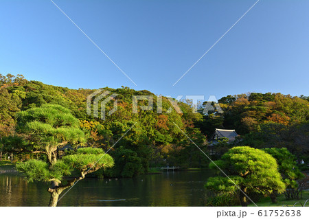 横浜・三渓園 61752638