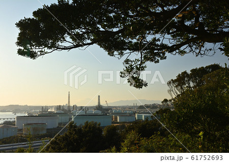 横浜・三渓園 61752693