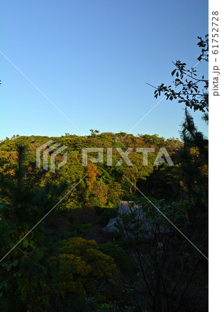 横浜・三渓園 61752728