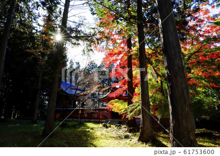 【山梨県】紅葉の国指定重要文化財富士御室浅間神社 本宮 【山梨県】紅葉の国指定重要文化財富士御室浅間神社 本宮 61753600
