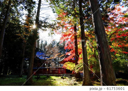 【山梨県】紅葉の国指定重要文化財富士御室浅間神社　本宮 61753601
