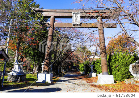 【山梨県】国指定重要文化財富士御室浅間神社　里宮社参道 61753604