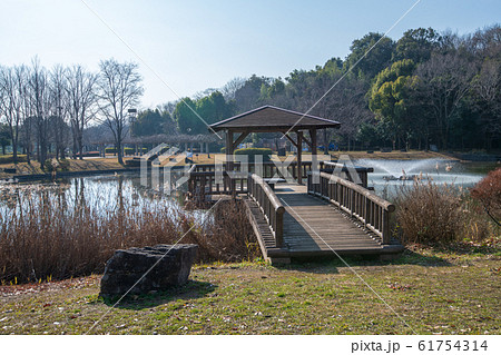 城山公園 水辺 玉県桶川市 城山公園 水辺 玉県桶川市 61754314