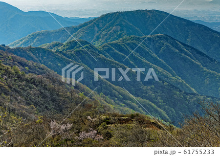 塔ノ岳から見る新緑の丹沢表尾根 塔ノ岳から見る新緑の丹沢表尾根 61755233