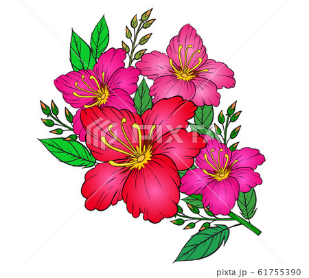 Art of nature, colorful flowers on a white background. hand drawn style vector design illustrations. 61755390