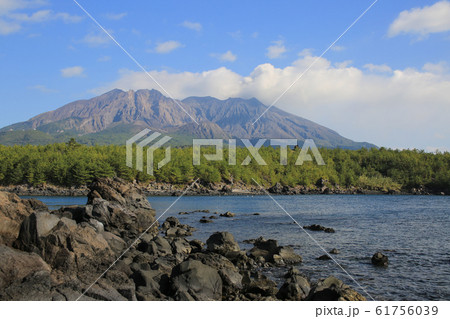 鹿児島県鹿児島市　溶岩なぎさ遊歩道から見た桜島 61756039