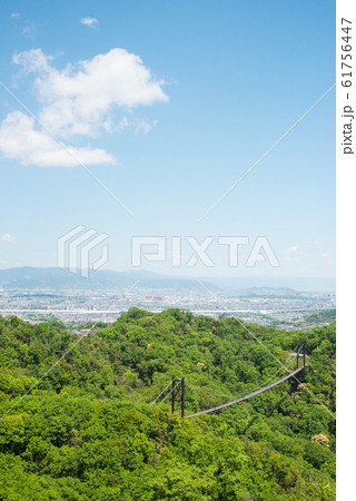 大阪府民の森 星田園地の新緑 大阪府民の森 星田園地の新緑 61756447