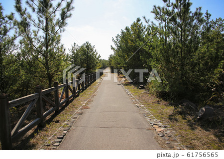 鹿児島県鹿児島市　溶岩なぎさ遊歩道 61756565