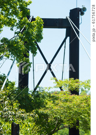 大阪府民の森 星田園地の新緑 61756728