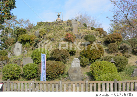 田子山富士塚（埼玉県志木市） 61756788