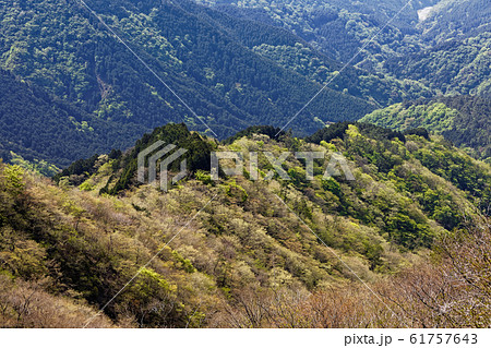 丹沢・鍋割山稜から見る新緑の小丸尾根 61757643