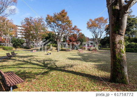 東京都八王子市にある団地の中の公園 東京都八王子市 日本 東京都八王子市にある団地の中の公園 東京都八王子市 日本 61758772