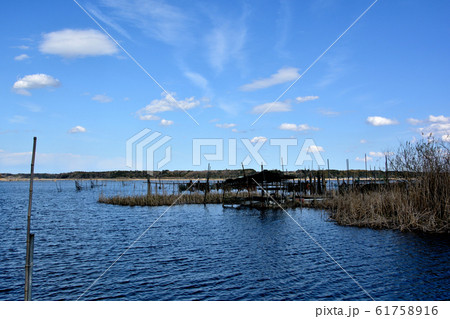 千葉県　印旛沼の風景 61758916