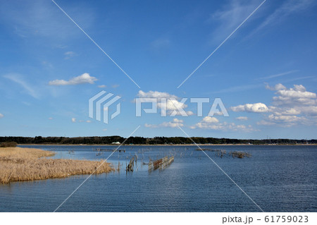 千葉県 印旛沼の風景 千葉県 印旛沼の風景 61759023
