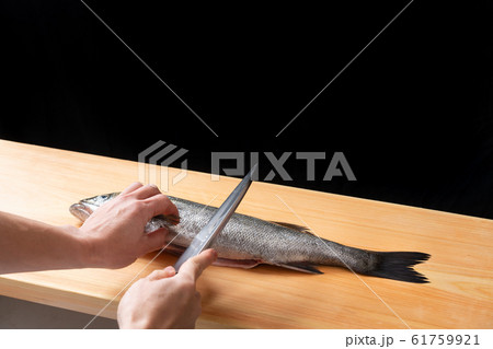 鱸を捌く板前 61759921