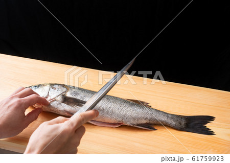 鱸を捌く板前 鱸を捌く板前 61759923