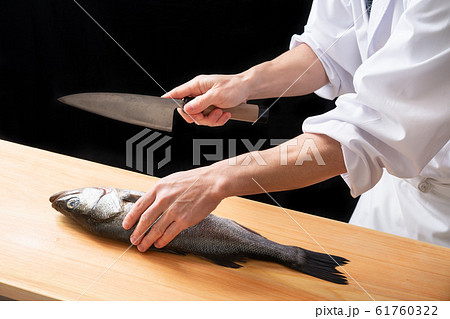 鱸を捌く板前 鱸を捌く板前 61760322