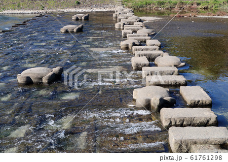 京都　鴨川　亀石 61761298