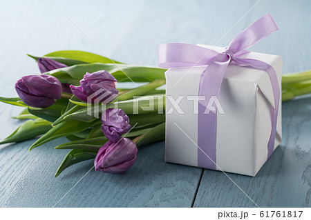 purple tulip with gift box on blue wood background purple tulip with gift box on blue wood background 61761817