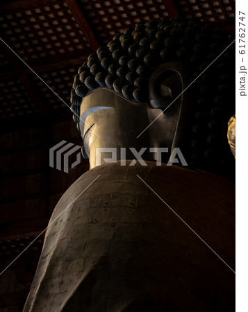 東大寺大仏殿 盧舎那仏像 左やや後ろ 61762747
