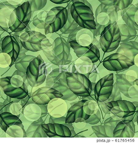 Green leaves seamless pattern 61765456