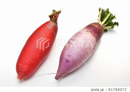 サラダ用の大根 サラダ用の大根 61766072