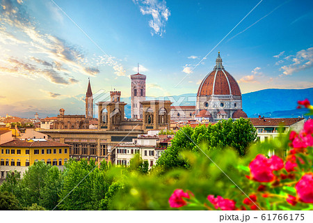 Cathedral of Saint Mary 61766175