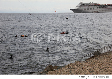 サンタカタリナ島（アメリカ） 61766936