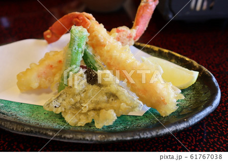 天ぷら 天ぷら 61767038