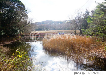 一碧湖　沼池 61769686