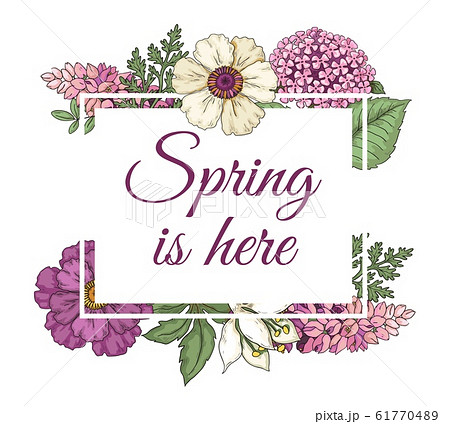 Spring flower background. Spring is here logo... - Stock