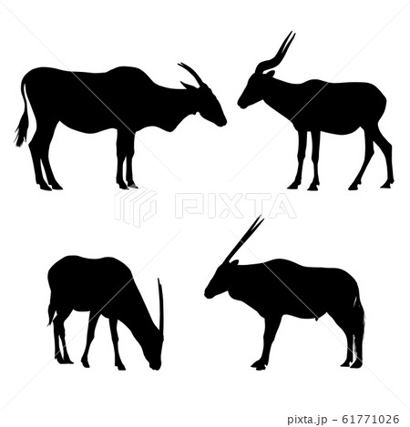 realistic illustration of anilope or gazelle realistic illustration of anilope or gazelle 61771026