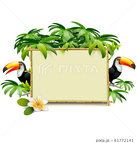 Vector Tropics Frame with Toucan 61772141