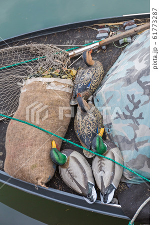 Decoy Ducks 61773287