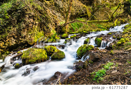 Wahkeena Falls in the Columbia River Gorge, USA Wahkeena Falls in the Columbia River Gorge, USA 61775287