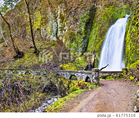 Wahkeena Falls in the Columbia River Gorge, USA 61775310
