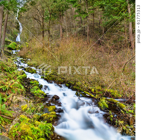 Wahkeena Creek in the Columbia River Gorge, USA Wahkeena Creek in the Columbia River Gorge, USA 61775313