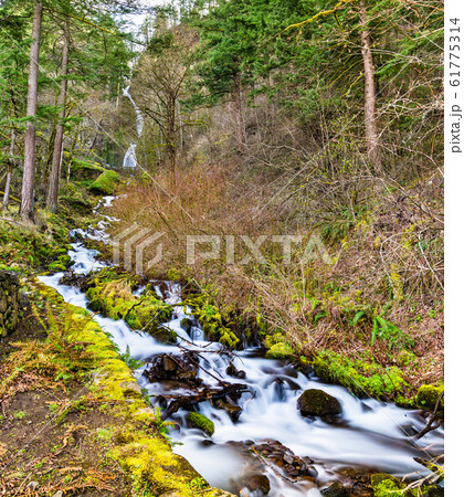 Wahkeena Creek in the Columbia River Gorge, USA Wahkeena Creek in the Columbia River Gorge, USA 61775314