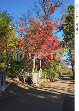 紅葉の天覧山 登山道入り口の写真素材 6177 紅葉の天覧山 登山道入り口の写真素材 6177
