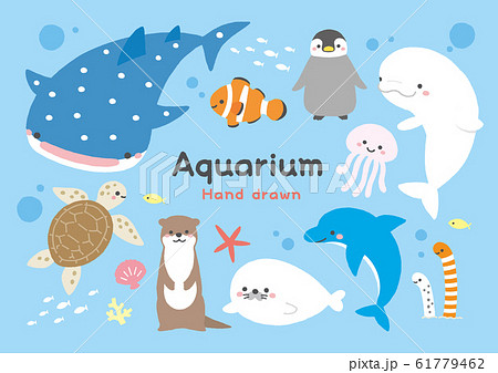 ベストセレクション 水族館 イラスト 無料