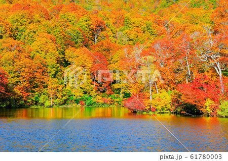 鎌池の紅葉 鎌池の紅葉 61780003