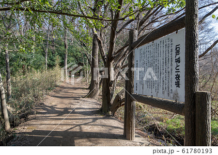 北本自然観察公園 石戸城と一夜堤付近 埼玉県北本市 北本自然観察公園 石戸城と一夜堤付近 埼玉県北本市 61780193