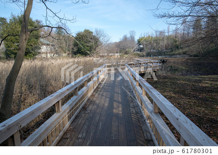 北本自然観察公園 遊歩道 埼玉県北本市 北本自然観察公園 遊歩道 埼玉県北本市 61780301