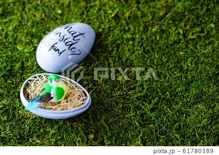 ティン缶のイースターエッグ ティン缶のイースターエッグ 61780389