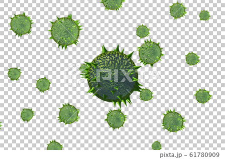 花粉圖像滲透材料（用於花粉熱等） 61780909