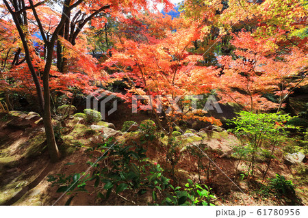 香川県大窪寺の紅葉 香川県大窪寺の紅葉 61780956